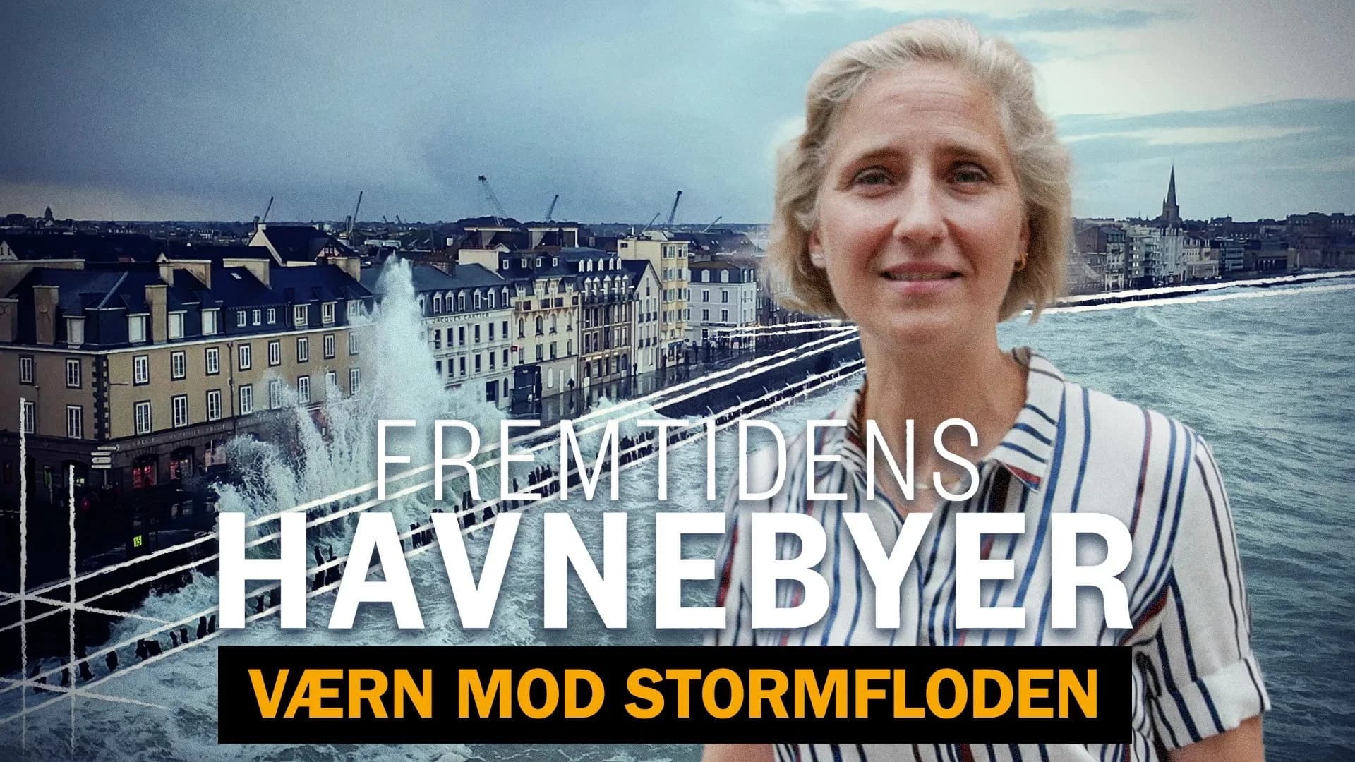 Fremtidens havnebyer - værn mod stormfloden