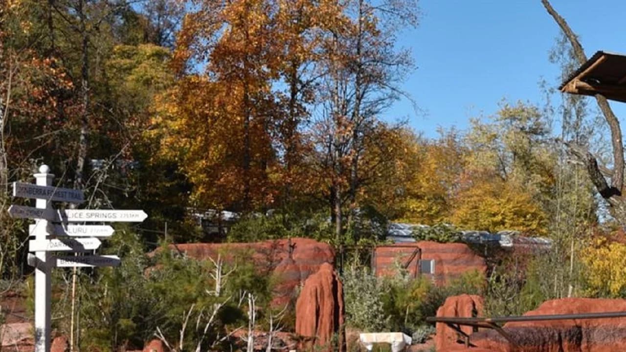 Du sang neuf au zoo de Zurich