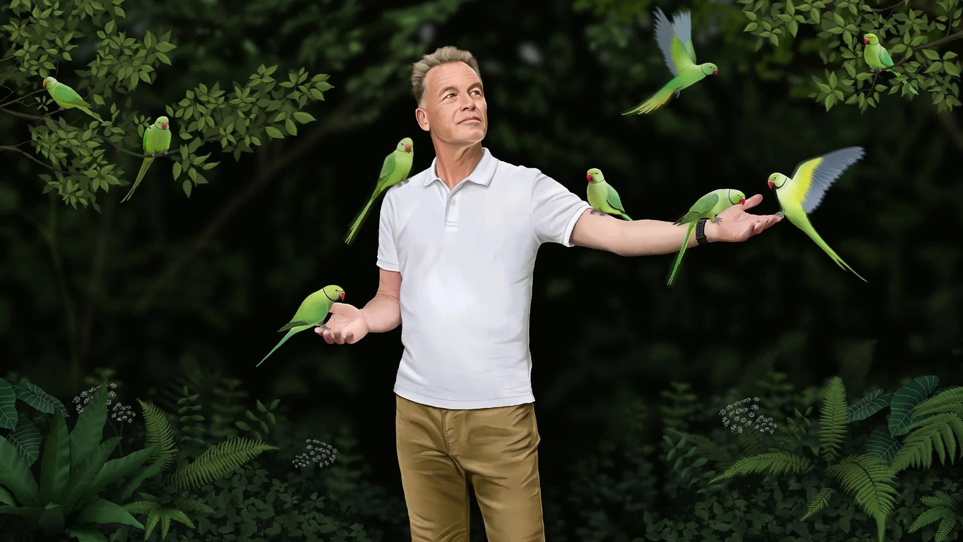 Invasion of the Parakeets