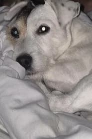Doudou