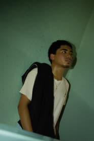 Hanz Gavriel
