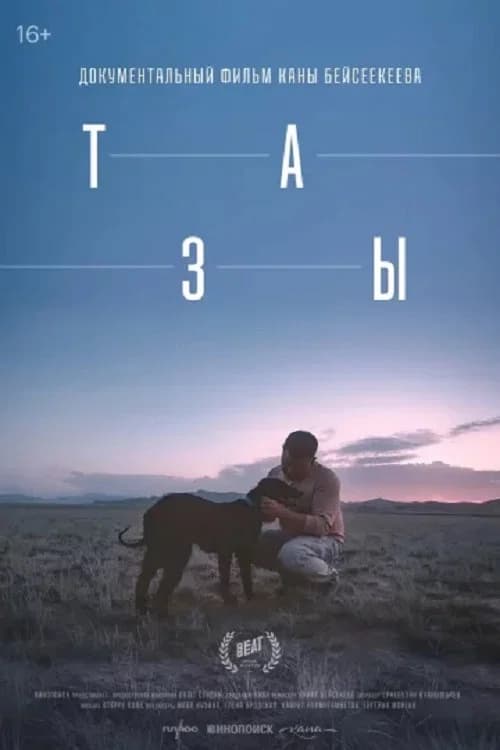 Тазы