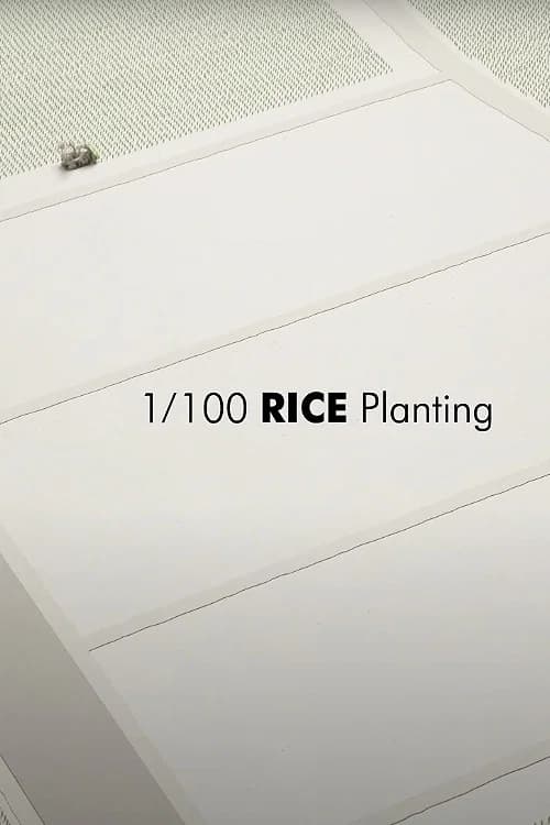 1/100 RICE Planting