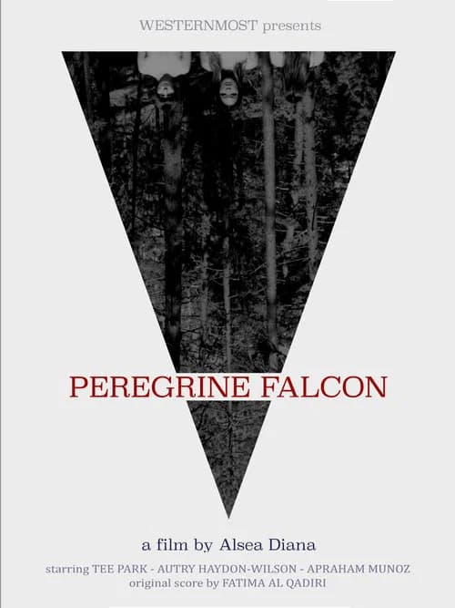 Peregrine Falcon