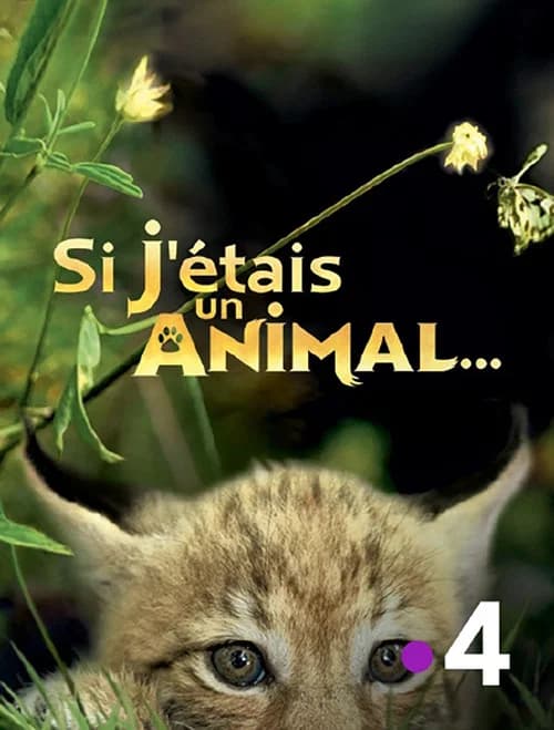Si J'étais un animal