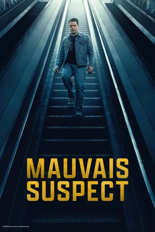 Mauvais suspect