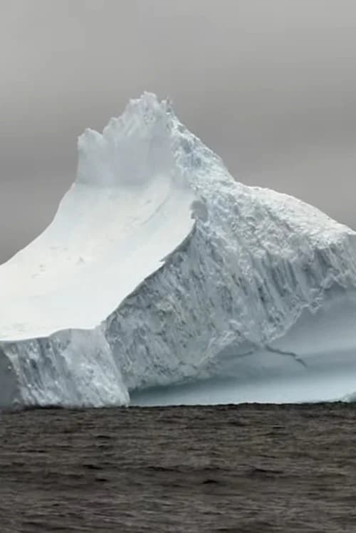 Geants de glace...à la dérive