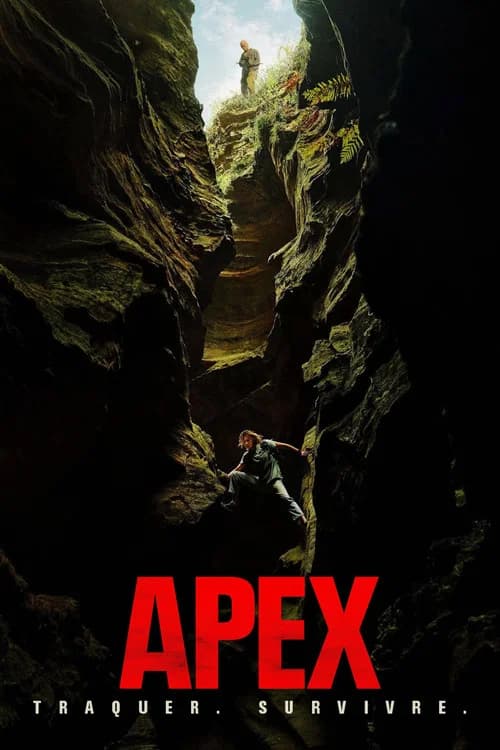Apex