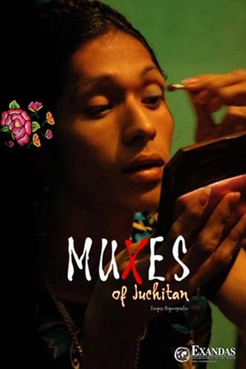 Muxes deJuchitán