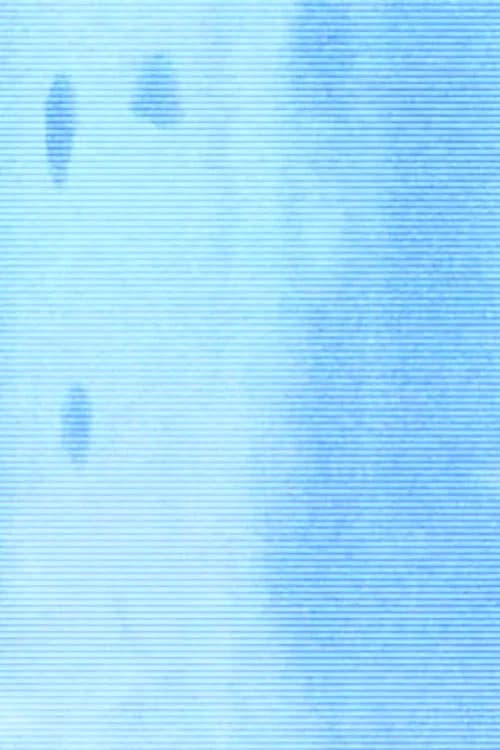 summer afternoon (hypnagogic decay)