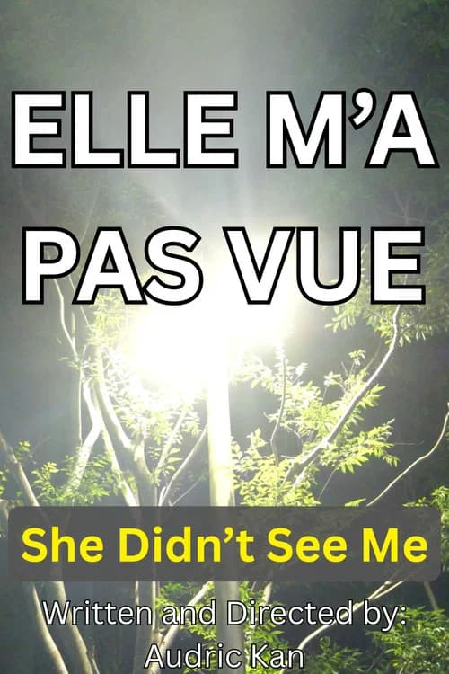 Elle M'a Pas Vue