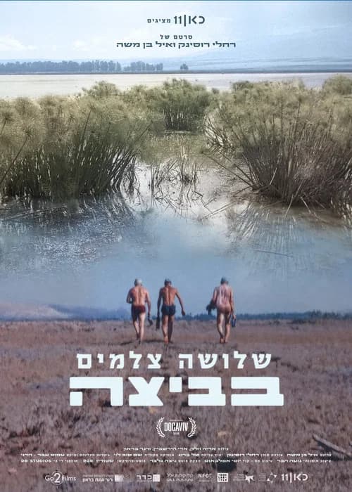 שלושה צלמים בביצה
