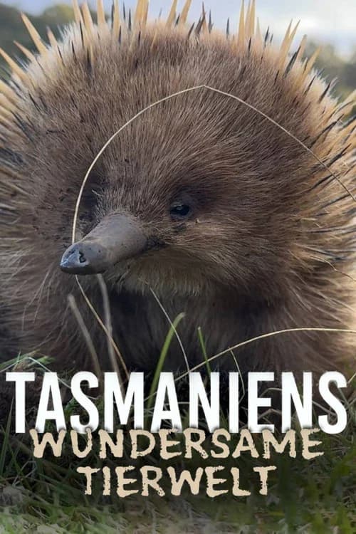 La Tasmanie sauvage