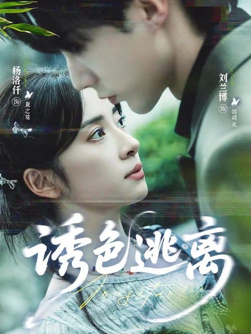 You Se Tao Li