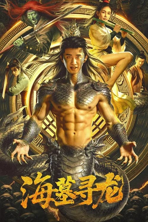 海墓寻龙