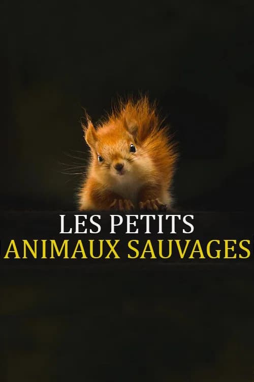 Les Petits Animaux Sauvages