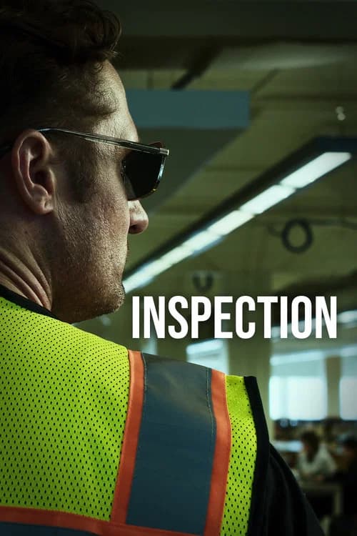Inspection