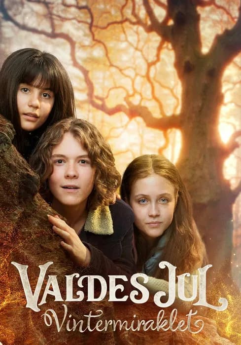 Valdes Jul - Vintermiraklet