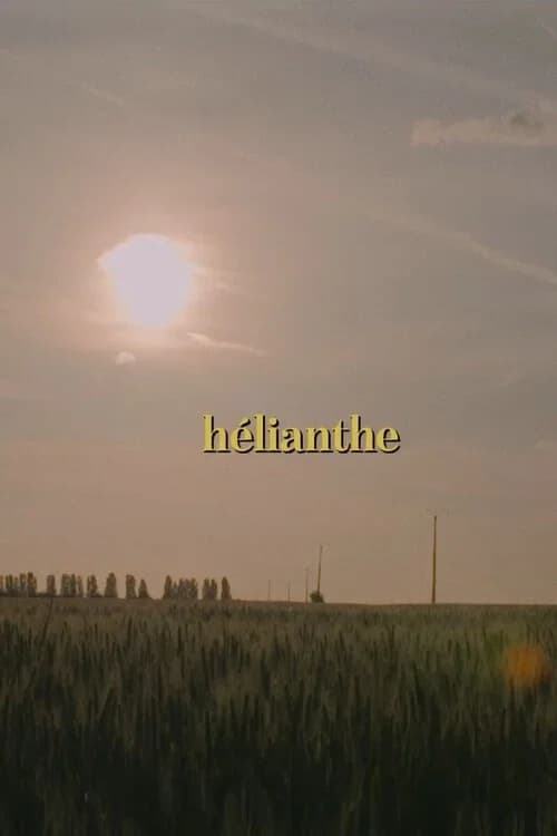 Hélianthe