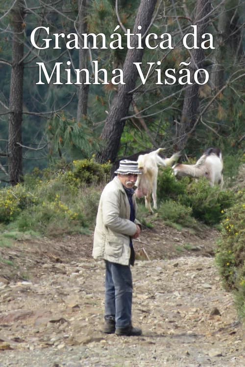 Gramática da Minha Visão