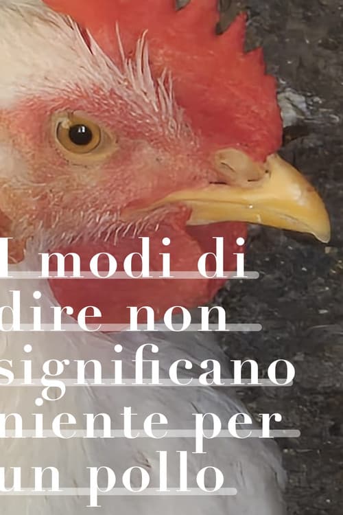 I modi di dire non significano niente per un pollo