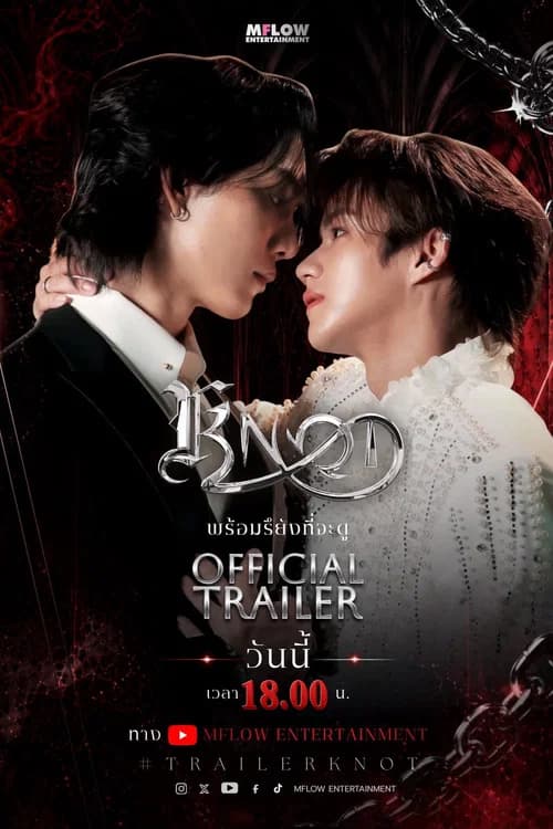 Knot The Series