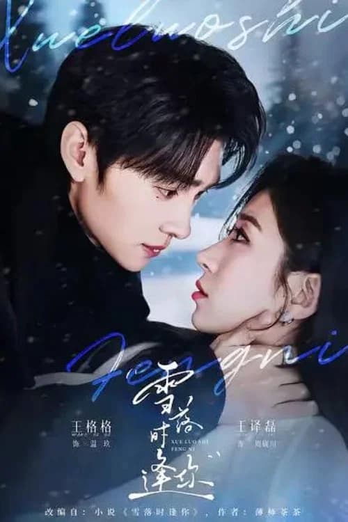 雪落时逢你