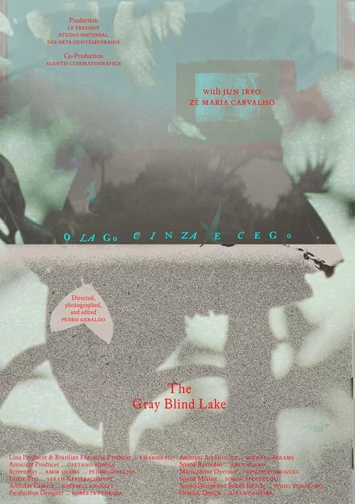 O lago cinza e cego