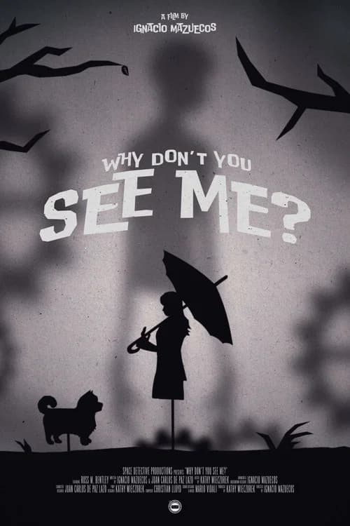 Why Don't You See Me?