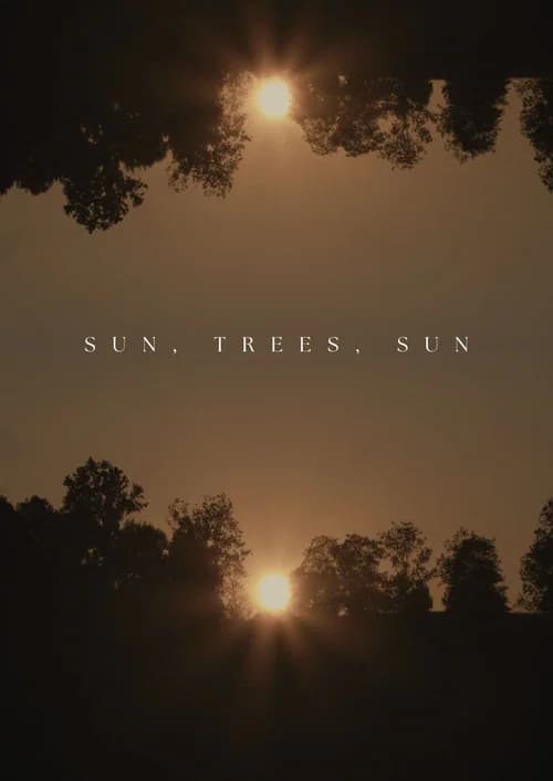 Sun, Trees, Sun