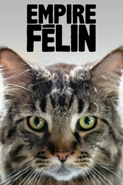 Empire Félin
