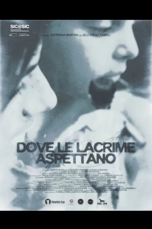Dove le lacrime aspettano