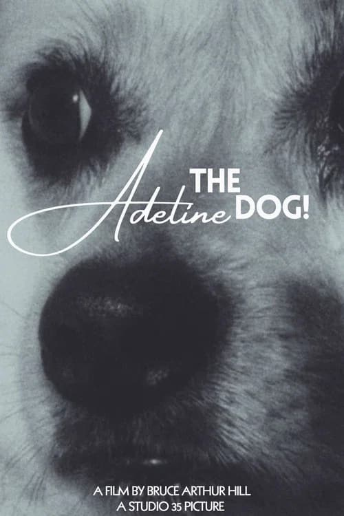 Adeline The Dog!