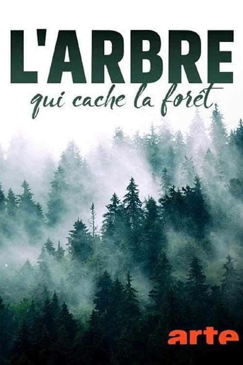 El mundo invisible de los bosques