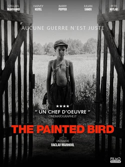 L'Oiseau bariolé