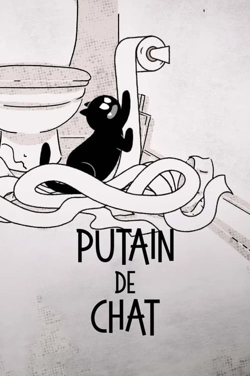 Putain de chat !
