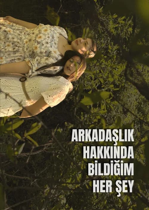 Arkadaşlık Hakkında Bildiğim Her Şey