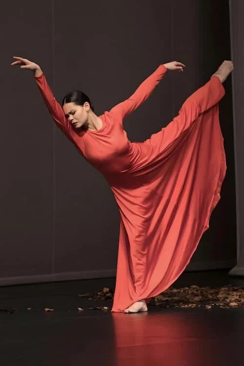Adieu l’opéra