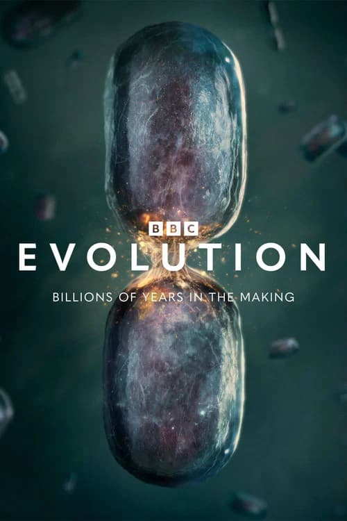 Evolution