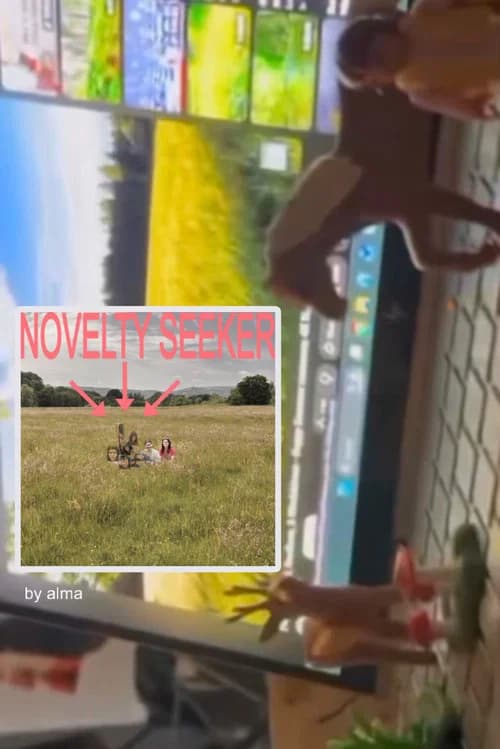 NOVELTY SEEKER