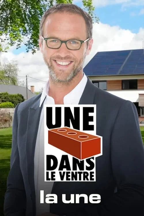 Une brique dans le ventre