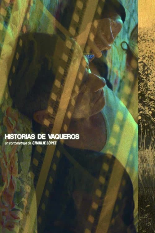 Historias de Vaqueros