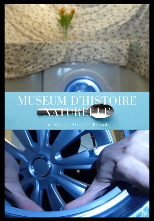 Museum d'histoire Naturelle