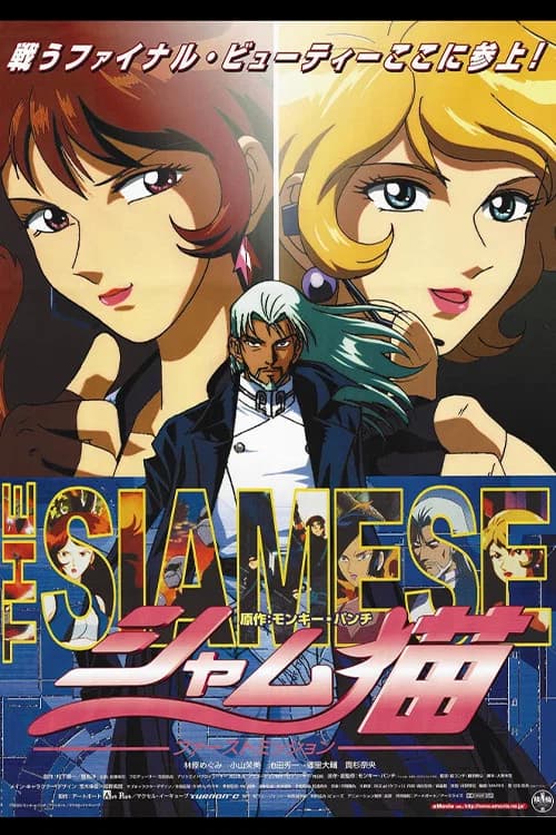 Siam Neko: First Mission