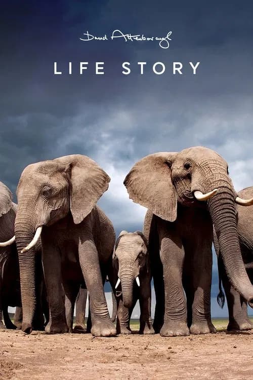 Le voyage de la vie