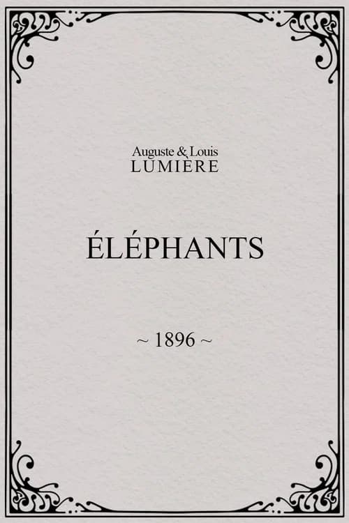 Elephants