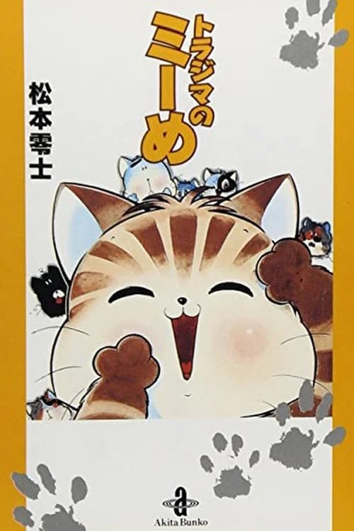 Miime the Tabby