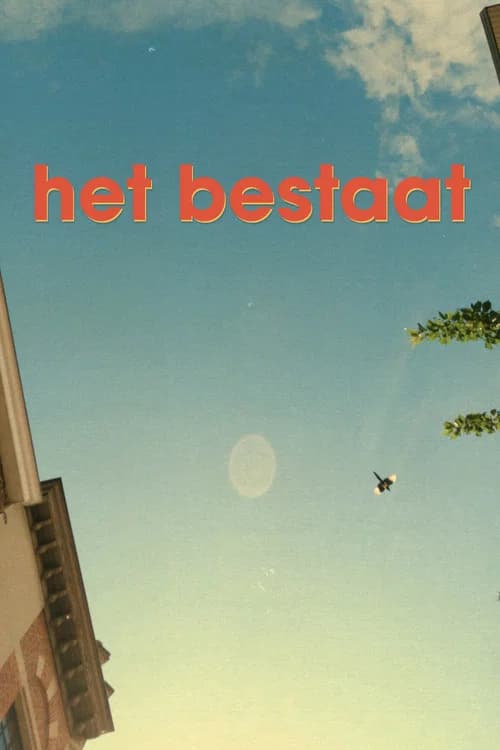Het Bestaat