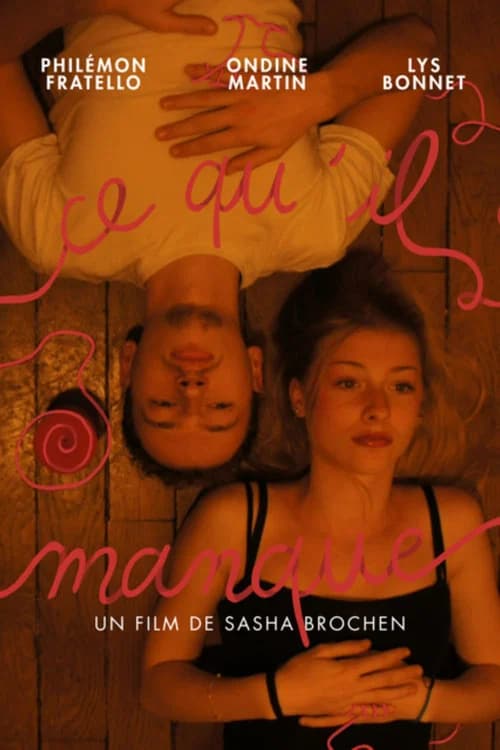 Ce qu'il manque