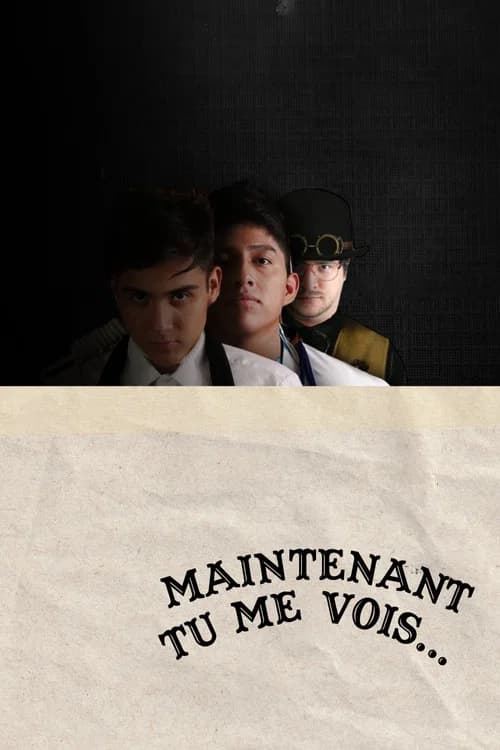 Maintenant Tu Me Vois...